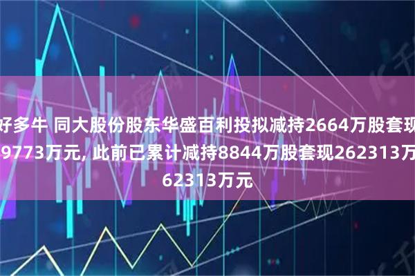 好多牛 同大股份股东华盛百利投拟减持2664万股套现759773万元, 此前已累计减持8844万股套现262313万元