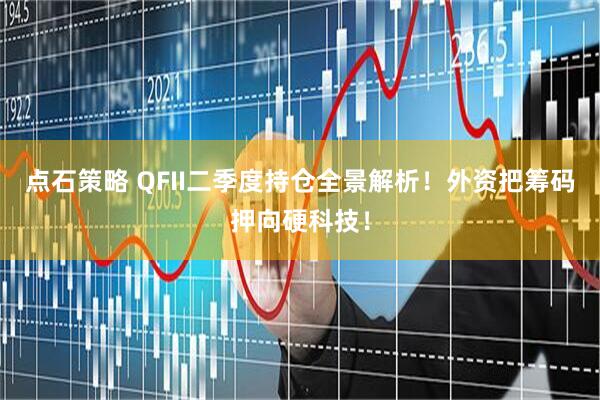 点石策略 QFII二季度持仓全景解析！外资把筹码押向硬科技！